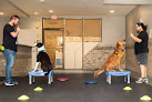 Pet boarding services Happy Paws Llc in Washington in Washington, D.C.