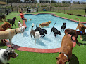 Pet boarding services Happy Paws Pet Resort in Orlando in Florida