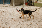Pet boarding services Happy Pets in Plant City in Florida