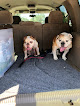 Pet boarding services Happy Tails Boarding Kennel in St Cloud in FL