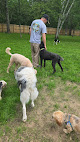 Pet boarding services Happy Tails Daycare & Boarding Llc in Ironton in MN