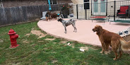 Pet boarding services Happy Tails Dog Sitting - Your Dogs Home Away From Home in Fort Worth in Tarrant
