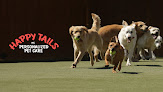 Pet boarding services Happy Tails Inc in St Ann in St. Louis