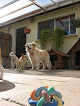 Pet boarding services Happy Tails Kennel in San Luis Obispo in California
