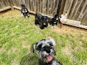 Pet boarding services Happy Tails Pet Grooming And Boarding in Buford in Gwinnett