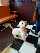 Pet boarding services Happy Tails, Pet Grooming Salon And Hotel in Goshen in Indiana