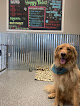 Pet boarding services Happy Tales Pet Resort in Redmond in Oregon