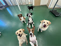 Pet boarding services Harbor Animal Hospital in Warren in RI