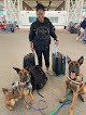Pet boarding services Hawaii Dog Training Academy in Waimanalo in Hawaii