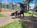 Pet boarding services Hawaii Mwr Pet Kennels in Aiea in HI