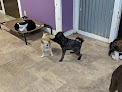 Pet boarding services Hawthorne Pet Den in Pocatello in Idaho