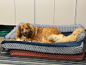 Pet boarding services Hayden Pet Medical Center in Hayden in Idaho
