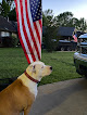Pet boarding services Hayes Veterinary Hospital in DeRidder in Louisiana