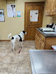 Pet boarding services Healing Hands Animal Hospital in Ozark in Alabama