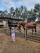 Pet boarding services Heart Horse Boarding in Hanford in CA