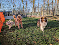 Pet boarding services Heavenly Care Kennels in Sheridan in IN