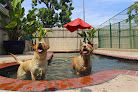 Pet boarding services Heavenly Pet Resort in West Covina in CA