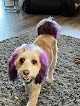 Pet boarding services Hector's Hay And Feed in Snowflake in Arizona