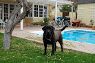Pet boarding services Heidi's Historic Home And Pet Care in Phoenix in Arizona