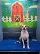 Pet boarding services Heilmeier's Bed & Biscuit in Foley in Alabama