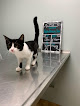 Pet boarding services Hesston Veterinary Clinic in Hesston in Kansas