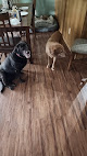 Pet boarding services High Halo Boarding Kennels in Goddard in Kansas