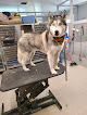 Pet boarding services Hillcrest Kennel And Grooming in Nashville in Davidson