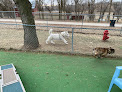 Pet boarding services Hillrise Kennels in Fremont in Nebraska