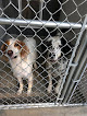 Pet boarding services Hilltop Kennels in Hedgesville in West Virginia