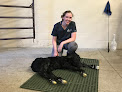 Pet boarding services Hodes Veterinary Health Center in Rose Hill in Kansas