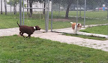 Pet boarding services Hollywoof Pet Resort in Lakeland in Florida