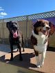Pet boarding services Holy Dog Inc. Exceptional Pet Care in Fairbanks in Alaska