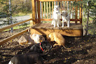 Pet boarding services Home Away From Home Dog Psychology & Behavior in Eagle River in Alaska