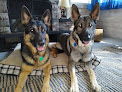Pet boarding services Home Away From Home With Lori in Clear Lake in MN