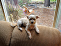 Pet boarding services Home Away From Home in Monterey in California