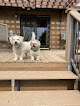 Pet boarding services Home Away Pet Boarding in Dickinson in ND