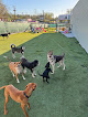 Pet boarding services Homewood Pet Resort in Baltimore in Maryland