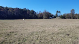 Pet boarding services Honey Do Ranch & Paws For Pets Boarding in Clinton in Arkansas