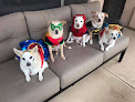Pet boarding services Hopi Animal Hospital in Scottsdale in Arizona