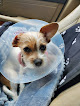 Pet boarding services Horizon Animal Hospital in Scottsdale in Arizona