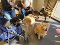 Pet boarding services Horizon Ridge Animal Hospital in Henderson in NV