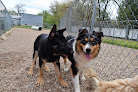 Pet boarding services Hound Dog Hotel, Llc in Haysville in KS