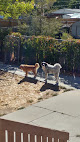 Pet boarding services Hound Hearts Dog Daycare in Salt Lake City in Utah