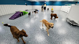 Pet boarding services Hounds Hideaway Rogers in Rogers in Arkansas