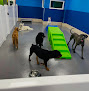 Pet boarding services Hounds Town - Millersville in Millersville in Maryland