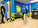 Pet boarding services Hounds Town Pittsburgh Strip District in Pittsburgh in Pennsylvania