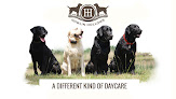 Pet boarding services Howlin Hollows Farm in Birmingham in Alabama