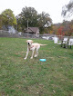 Pet boarding services Hubbard Pet Resort & Spa in Hubbard in OH