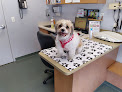 Pet boarding services Huffard Animal Hospital in Pasadena in Maryland