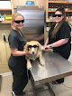 Pet boarding services Huntcliff Veterinary Clinic in Clinton in Hinds